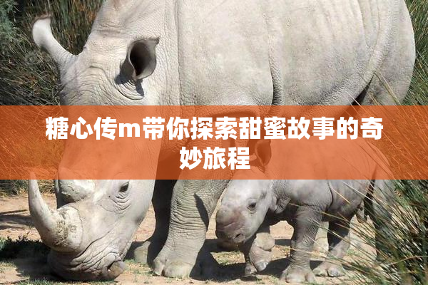 糖心传m带你探索甜蜜故事的奇妙旅程