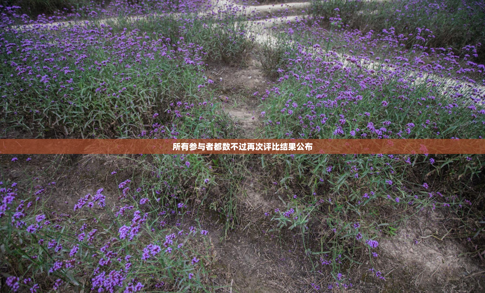 所有参与者都数不过再次评比结果公布
