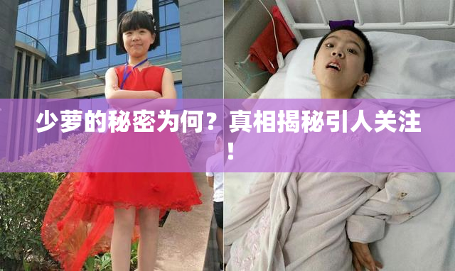 少萝的秘密为何？真相揭秘引人关注！