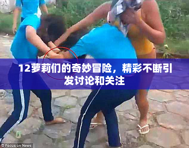 12萝莉们的奇妙冒险，精彩不断引发讨论和关注