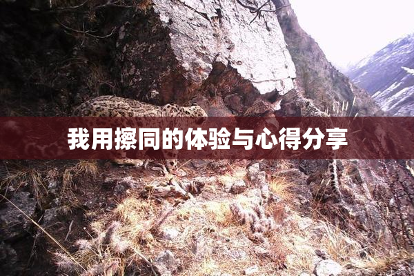 我用擦同的体验与心得分享