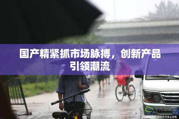 国产精紧抓市场脉搏，创新产品引领潮流