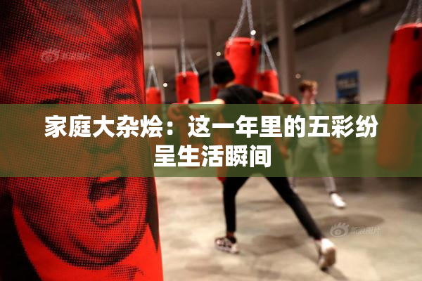 家庭大杂烩：这一年里的五彩纷呈生活瞬间