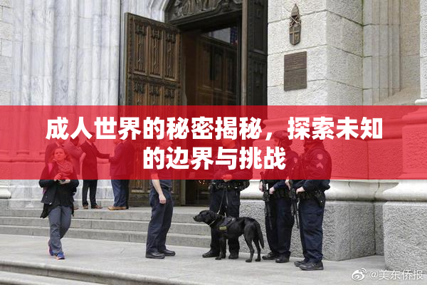 成人世界的秘密揭秘，探索未知的边界与挑战