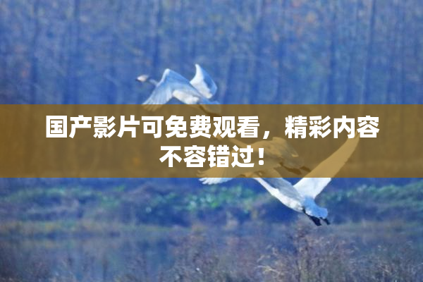 国产影片可免费观看，精彩内容不容错过！