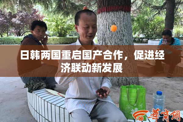 日韩两国重启国产合作，促进经济联动新发展
