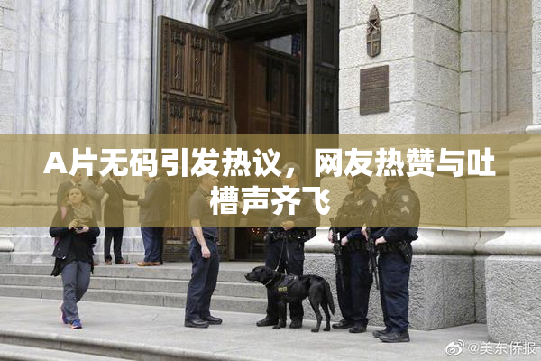 A片无码引发热议，网友热赞与吐槽声齐飞
