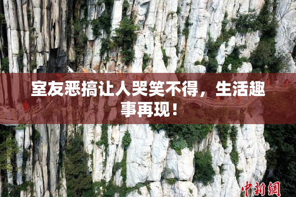 室友恶搞让人哭笑不得，生活趣事再现！