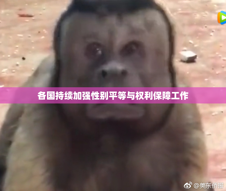 各国持续加强性别平等与权利保障工作