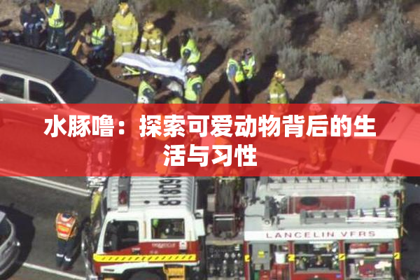 水豚噜：探索可爱动物背后的生活与习性