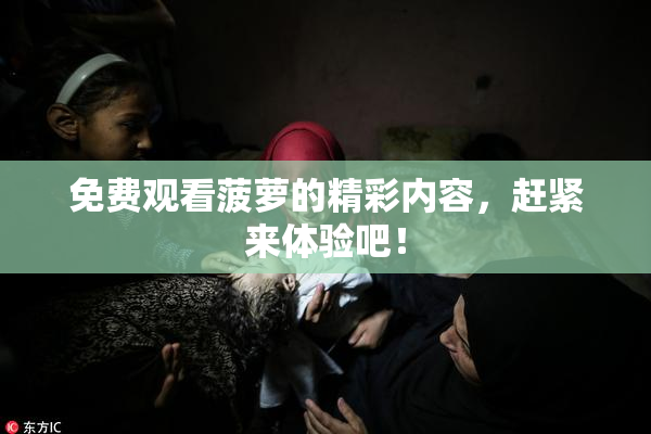 免费观看菠萝的精彩内容，赶紧来体验吧！
