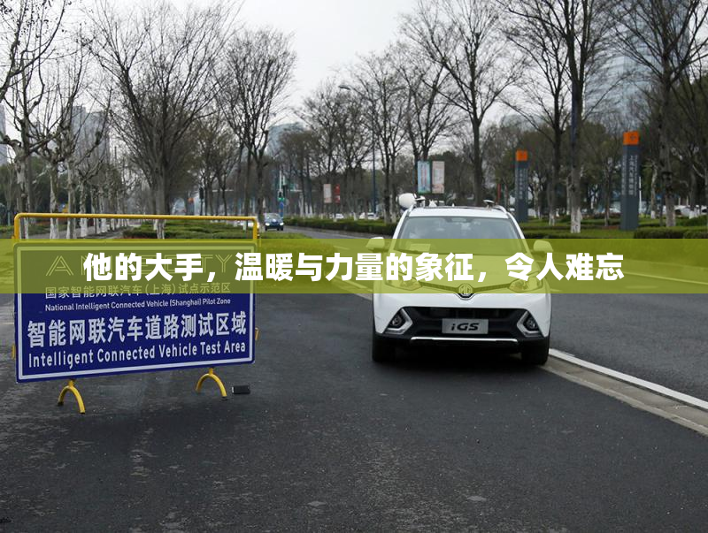 他的大手，温暖与力量的象征，令人难忘