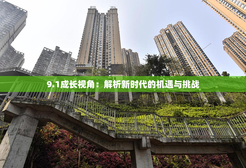 9.1成长视角：解析新时代的机遇与挑战
