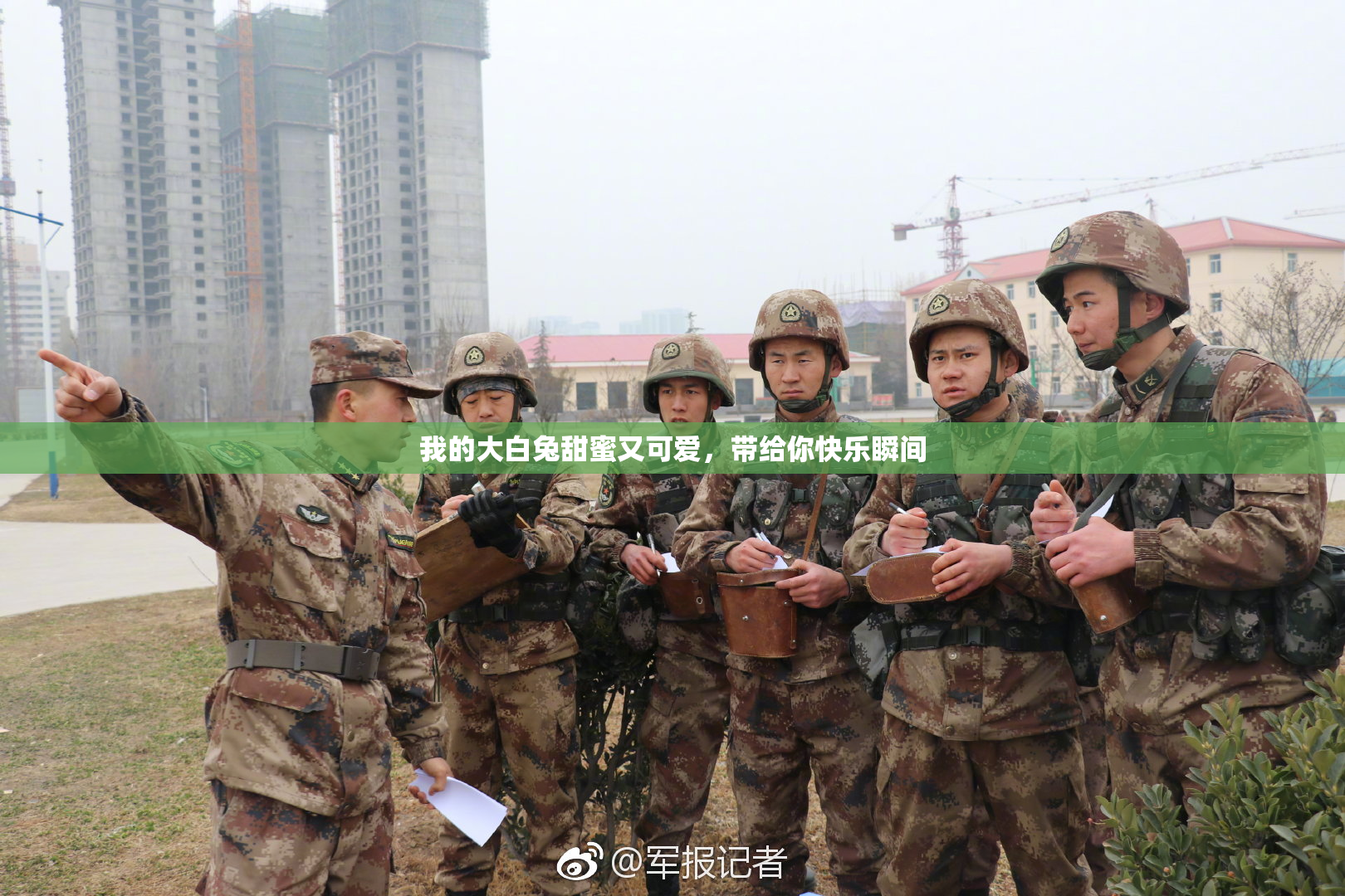 我的大白兔甜蜜又可爱，带给你快乐瞬间