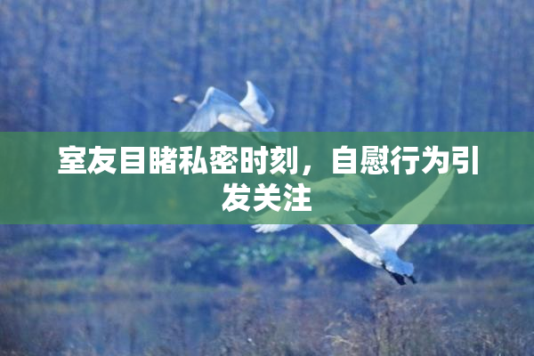室友目睹私密时刻，自慰行为引发关注