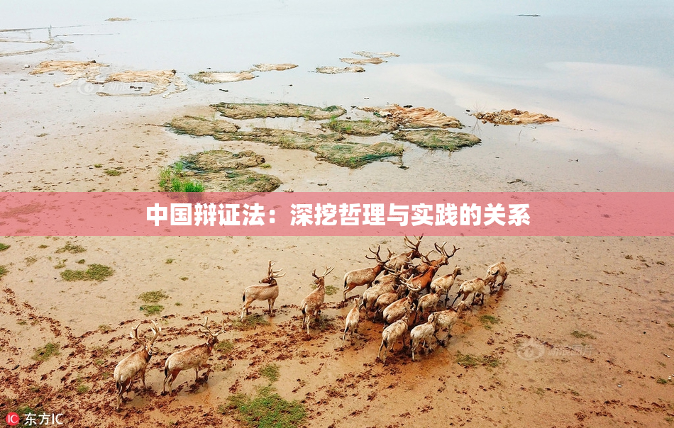 中国辩证法：深挖哲理与实践的关系