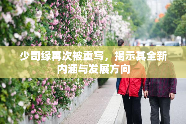 少司缘再次被重写，揭示其全新内涵与发展方向