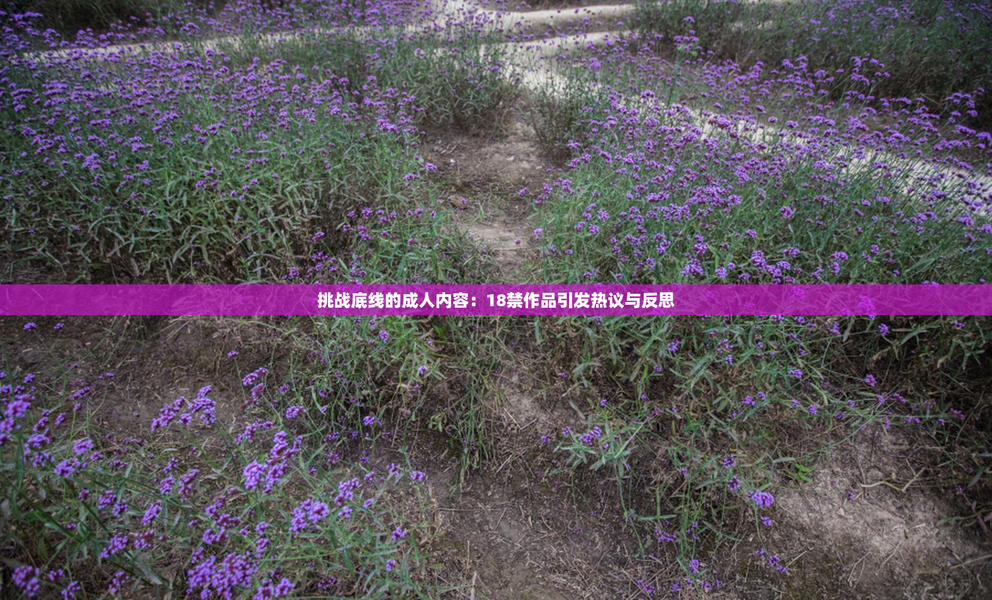 挑战底线的成人内容：18禁作品引发热议与反思