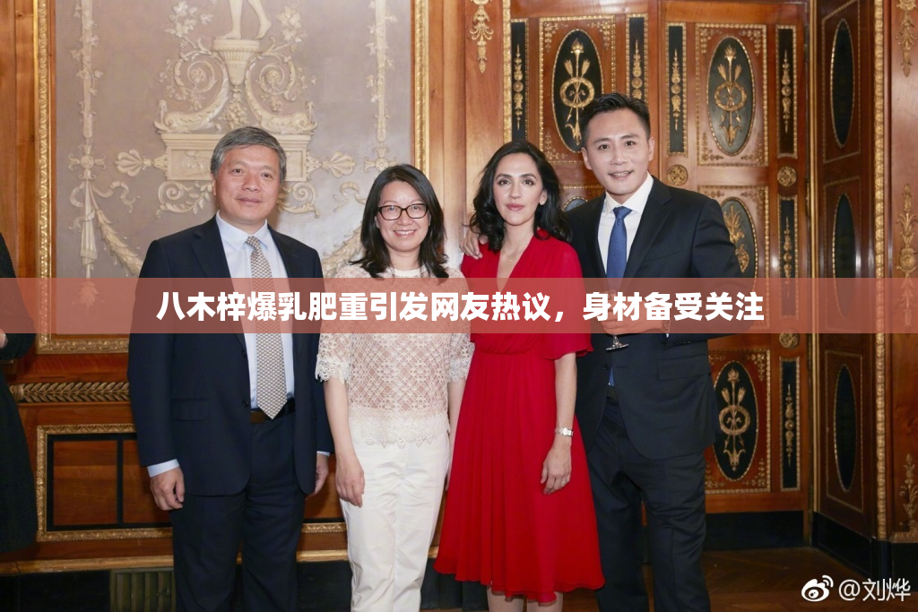 八木梓爆乳肥重引发网友热议，身材备受关注