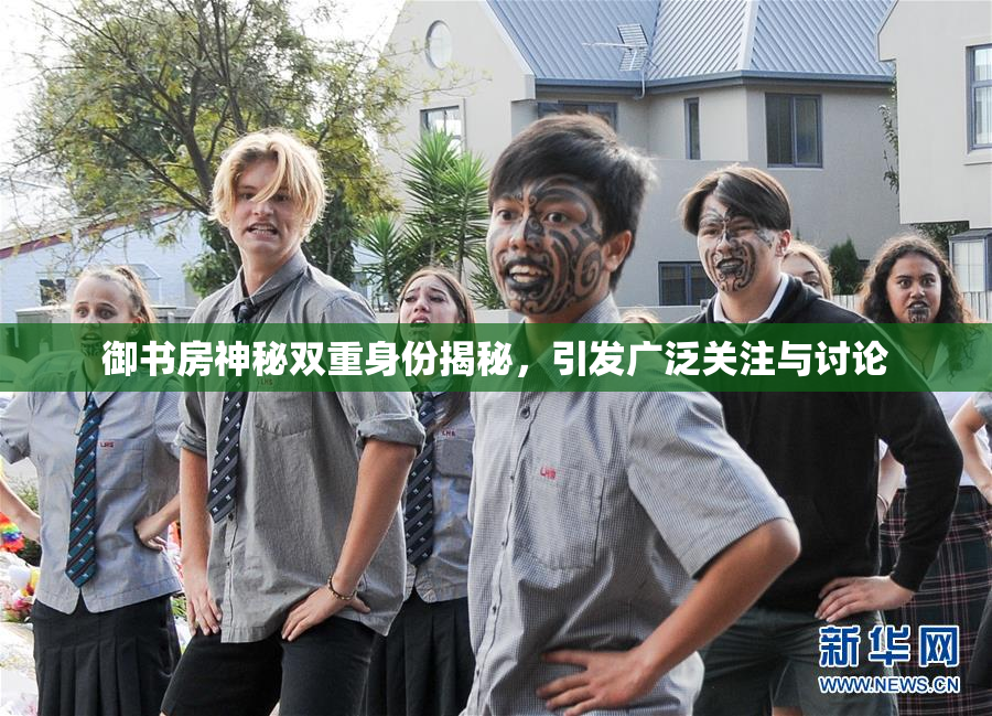 御书房神秘双重身份揭秘，引发广泛关注与讨论