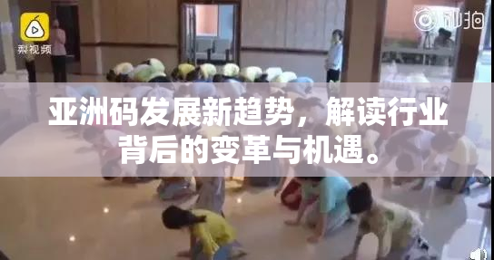 亚洲码发展新趋势，解读行业背后的变革与机遇。