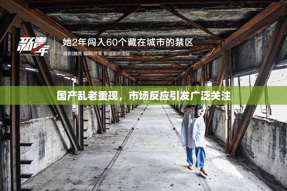 国产乱老重现，市场反应引发广泛关注
