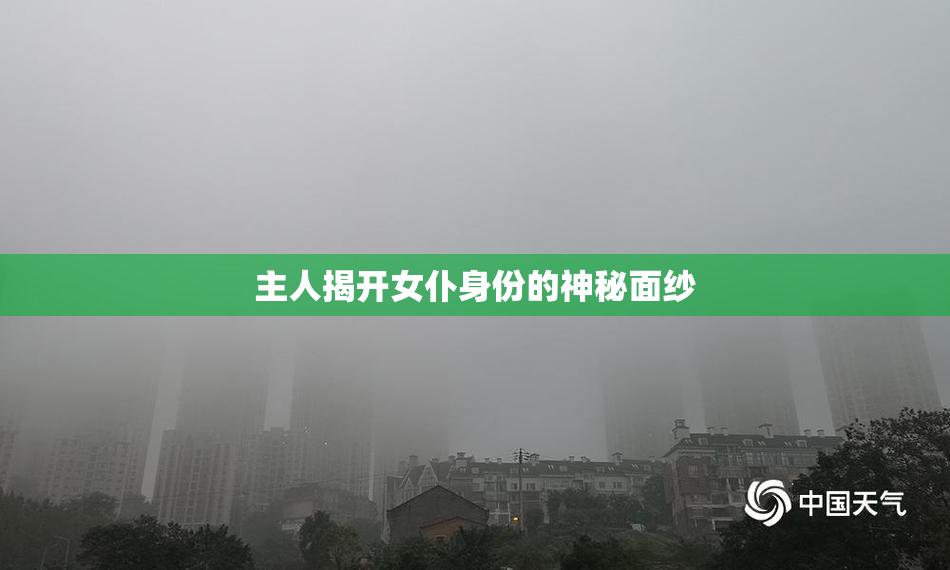 主人揭开女仆身份的神秘面纱