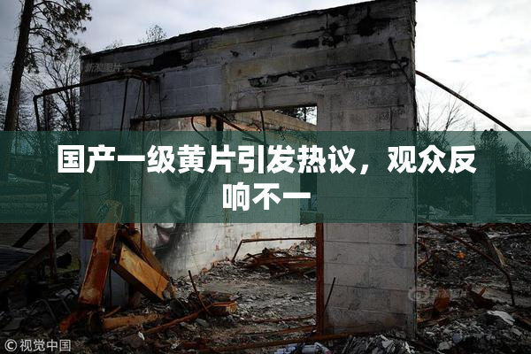 国产一级黄片引发热议，观众反响不一