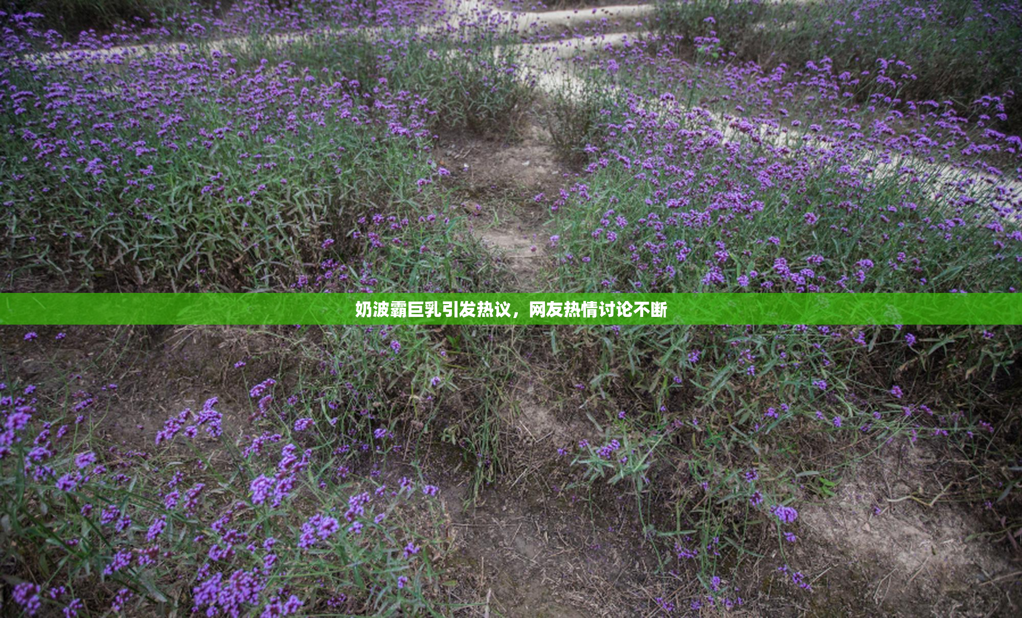 奶波霸巨乳引发热议，网友热情讨论不断