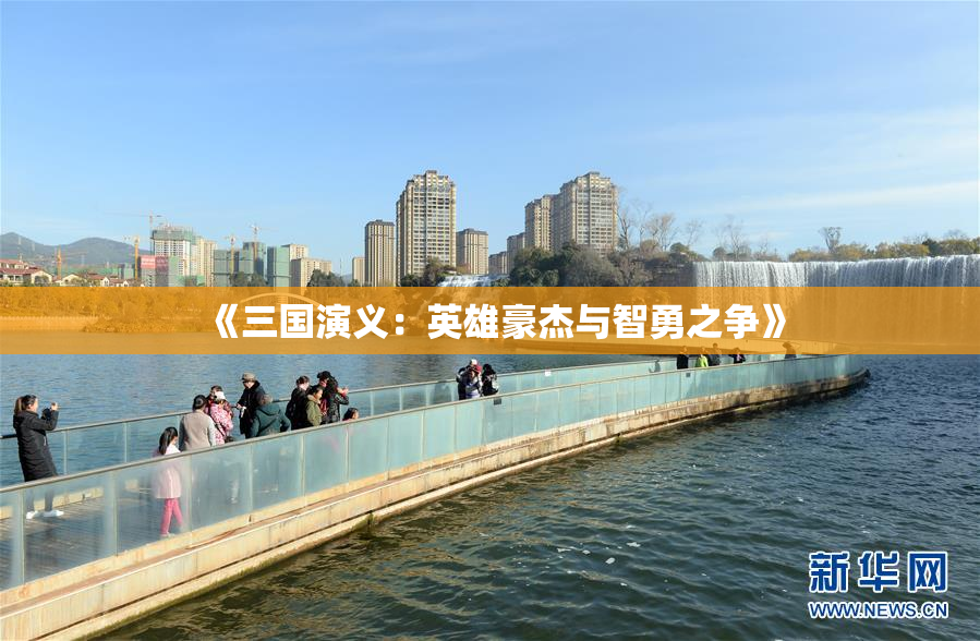 《三国演义：英雄豪杰与智勇之争》