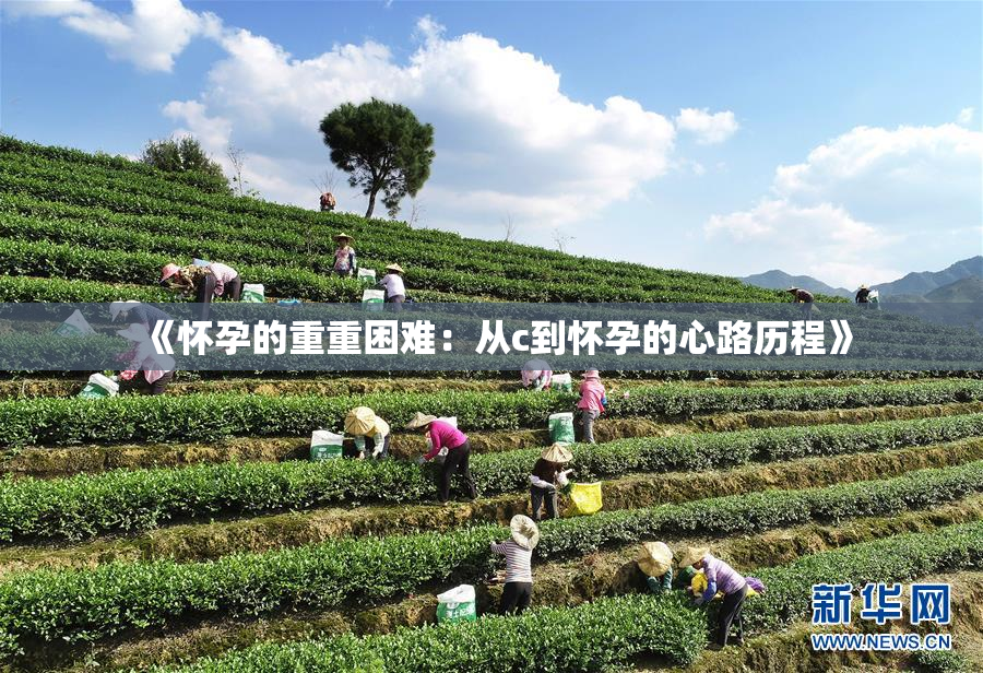 《怀孕的重重困难：从c到怀孕的心路历程》