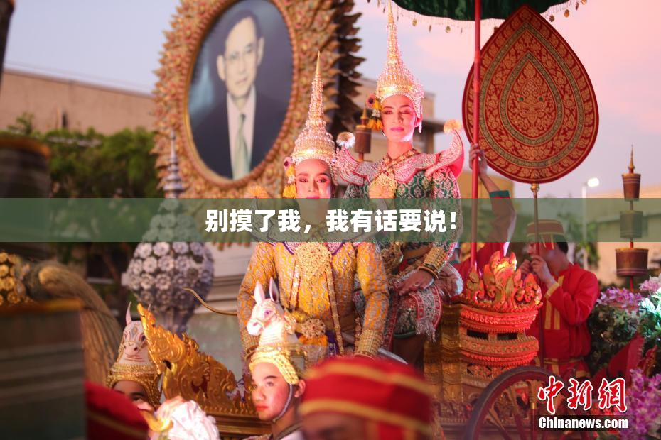 别摸了我，我有话要说！
