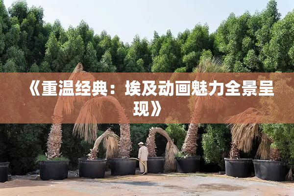 《重温经典：埃及动画魅力全景呈现》