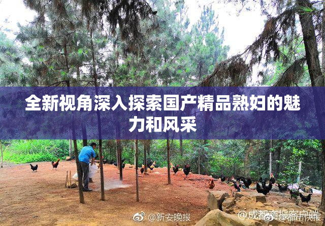 全新视角深入探索国产精品熟妇的魅力和风采