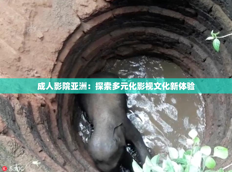 成人影院亚洲：探索多元化影视文化新体验