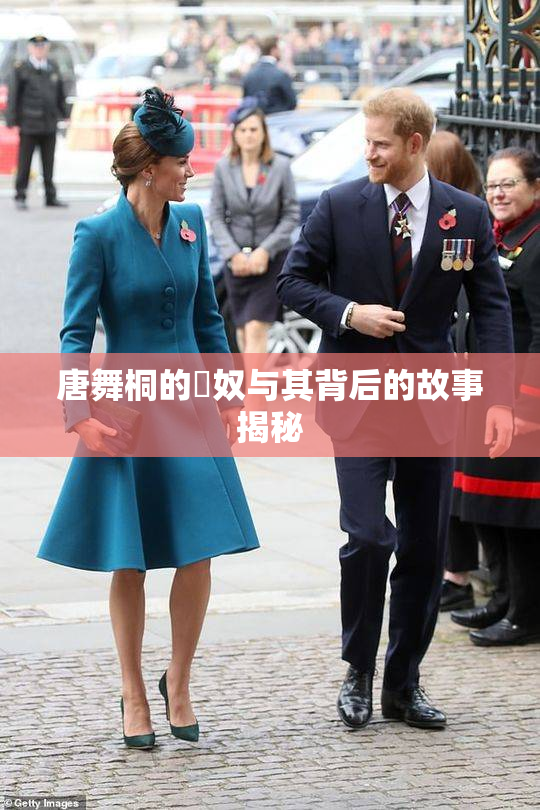 唐舞桐的婬奴与其背后的故事揭秘