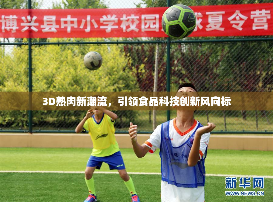 3D熟肉新潮流，引领食品科技创新风向标