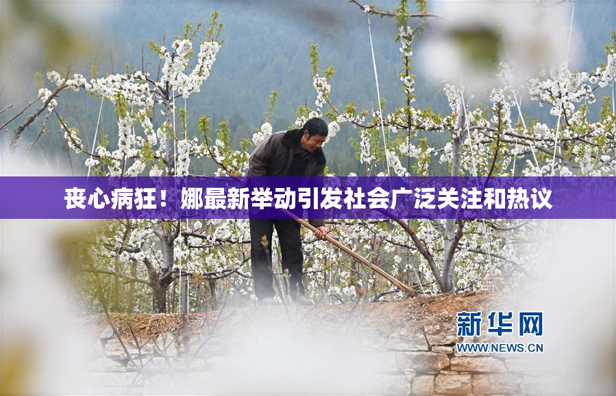 丧心病狂！娜最新举动引发社会广泛关注和热议