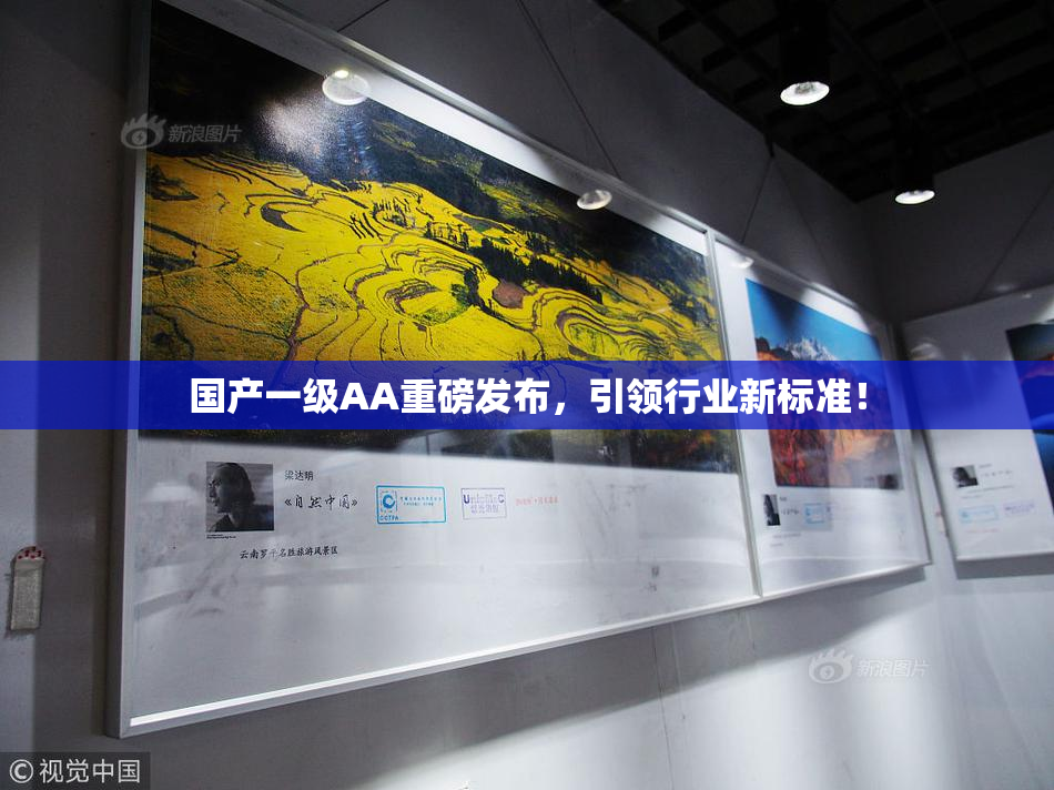国产一级AA重磅发布，引领行业新标准！