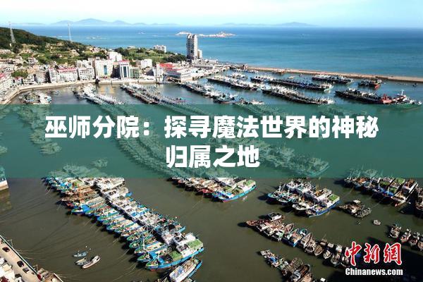 巫师分院：探寻魔法世界的神秘归属之地