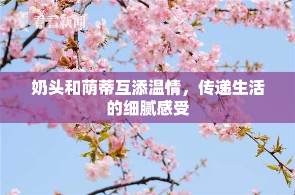 奶头和荫蒂互添温情，传递生活的细腻感受