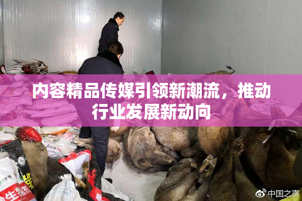 内容精品传媒引领新潮流，推动行业发展新动向