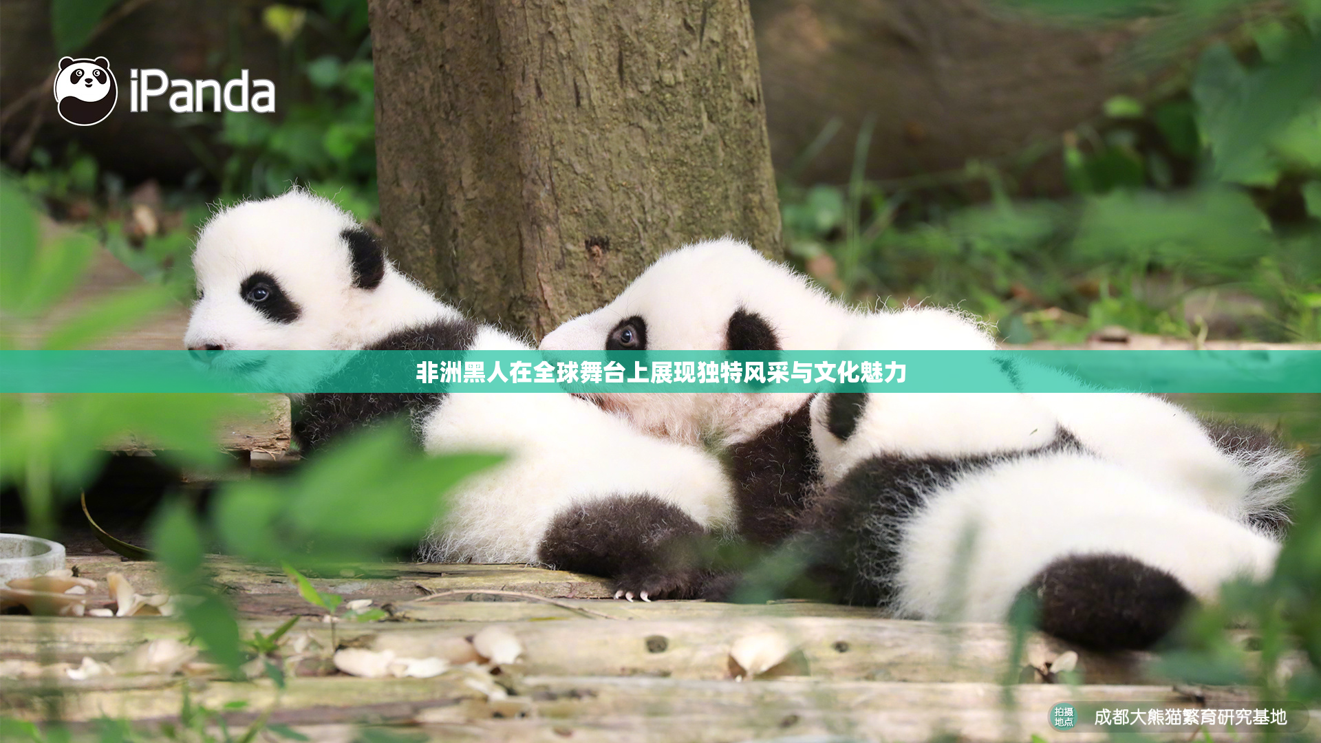 非洲黑人在全球舞台上展现独特风采与文化魅力