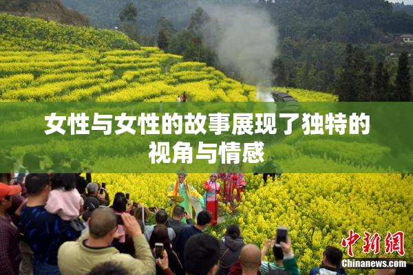 女性与女性的故事展现了独特的视角与情感