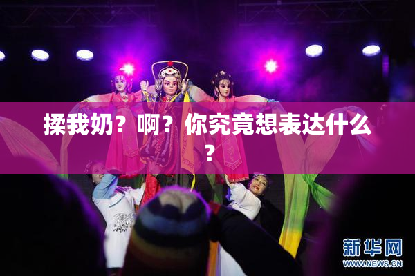 揉我奶？啊？你究竟想表达什么？