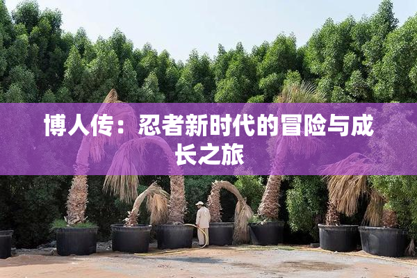 博人传：忍者新时代的冒险与成长之旅