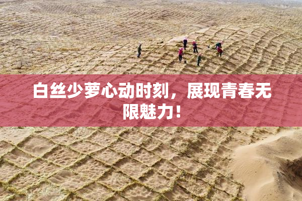 白丝少萝心动时刻，展现青春无限魅力！