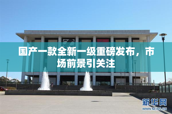 国产一款全新一级重磅发布，市场前景引关注