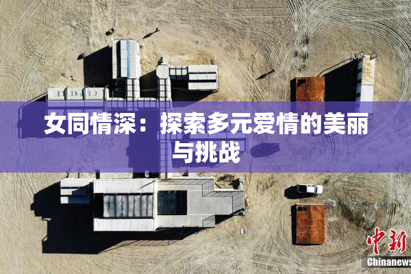 女同情深：探索多元爱情的美丽与挑战