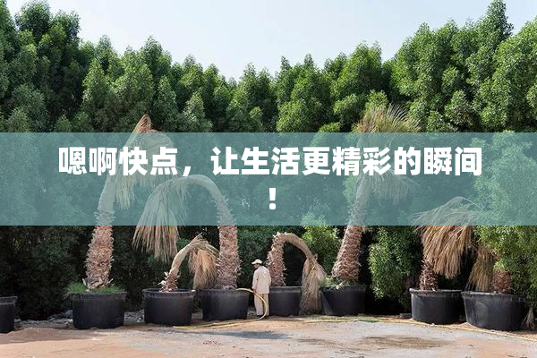 嗯啊快点，让生活更精彩的瞬间！
